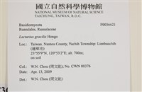 登錄號:F0036621藏品圖，第2張