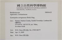 登錄號:F0036622藏品圖，第2張