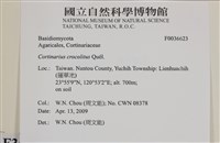 登錄號:F0036623藏品圖，第2張