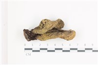 登錄號:F0036624藏品圖，第1張