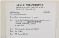 登錄號:F0036625藏品圖，第2張
