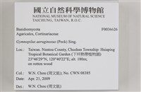 登錄號:F0036626藏品圖，第2張
