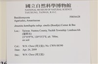 登錄號:F0036628藏品圖，第2張