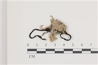 登錄號:F0036629藏品圖，第1張