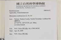 登錄號:F0036631藏品圖，第2張