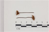 登錄號:F0036631藏品圖，第1張