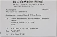 登錄號:F0036632藏品圖，第2張