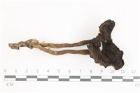登錄號:F0036632藏品圖，第1張