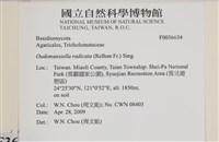 登錄號:F0036634藏品圖，第2張