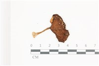 登錄號:F0036634藏品圖，第1張