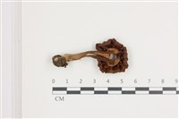 登錄號:F0036635藏品圖，第3張