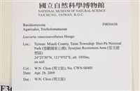 登錄號:F0036636藏品圖，第2張