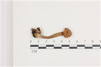 登錄號:F0036636藏品圖，第1張