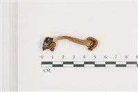 登錄號:F0036636藏品圖，第3張