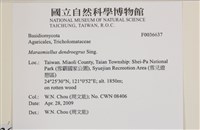 登錄號:F0036637藏品圖，第2張