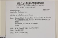 登錄號:F0036640藏品圖，第2張