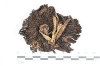 登錄號:F0036641藏品圖，第3張