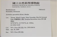 登錄號:F0036643藏品圖，第2張