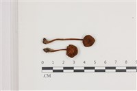登錄號:F0036645藏品圖，第1張