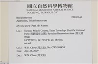 登錄號:F0036646藏品圖，第2張
