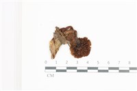 登錄號:F0036646藏品圖，第3張