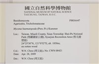 登錄號:F0036647藏品圖，第2張