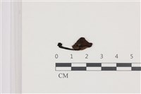 登錄號:F0036647藏品圖，第1張
