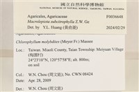 登錄號:F0036648藏品圖，第2張
