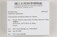 登錄號:F0036648藏品圖，第3張
