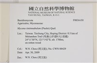登錄號:F0036650藏品圖，第2張