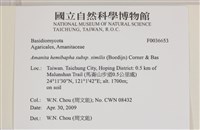 登錄號:F0036653藏品圖，第2張