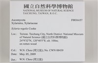 登錄號:F0036657藏品圖，第2張