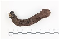 登錄號:F0036657藏品圖，第1張
