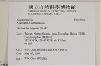 登錄號:F0036660藏品圖，第2張