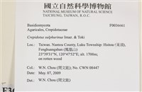 登錄號:F0036661藏品圖，第2張