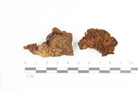 登錄號:F0036661藏品圖，第1張