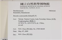 登錄號:F0036662藏品圖，第2張