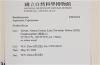 登錄號:F0036664藏品圖，第2張
