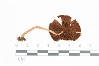 登錄號:F0036664藏品圖，第3張