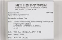 登錄號:F0036665藏品圖，第2張
