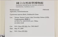 登錄號:F0036668藏品圖，第2張