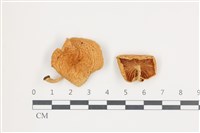 登錄號:F0036668藏品圖，第1張