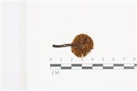 登錄號:F0036669藏品圖，第3張