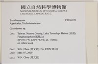 登錄號:F0036670藏品圖，第2張