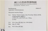 登錄號:F0036673藏品圖，第2張