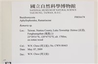 登錄號:F0036674藏品圖，第2張