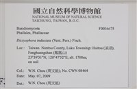 登錄號:F0036675藏品圖，第2張
