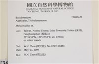 微皮傘屬藏品圖，第2張