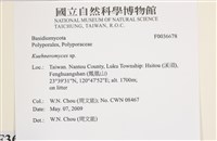 登錄號:F0036678藏品圖，第2張