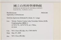 登錄號:F0036680藏品圖，第2張